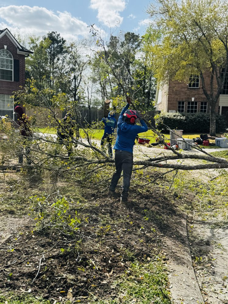 16dd16ab 569a 4323 b588 8de6902b0a1d