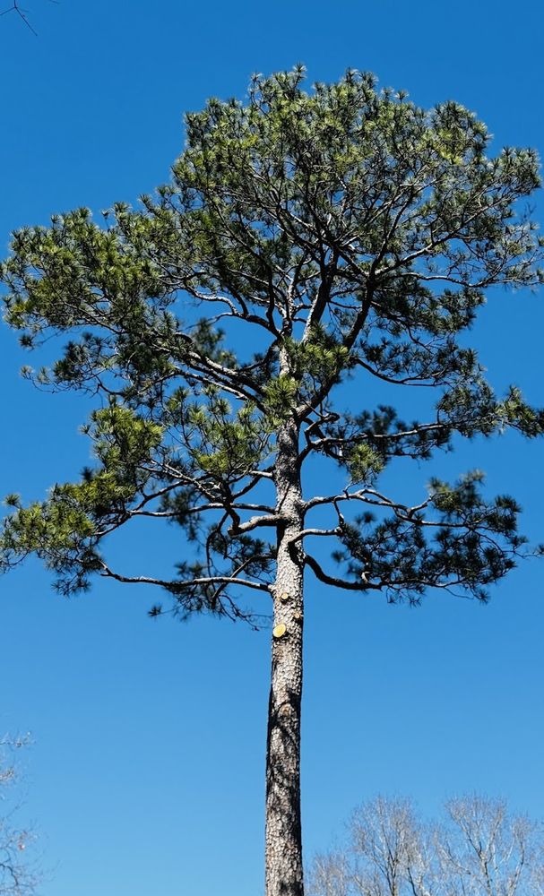 9a2ca397 8e22 4603 928e 4d72c6bb0d7a