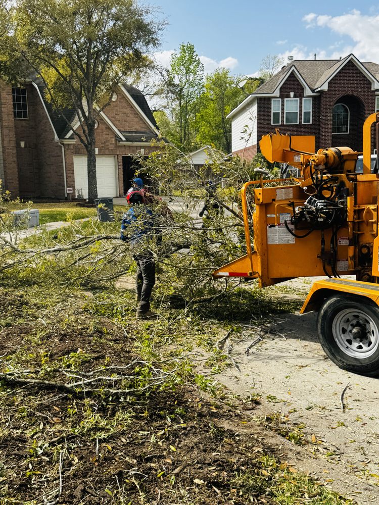 b1c090d5 2a7d 44ad aade 5c5698f228a9