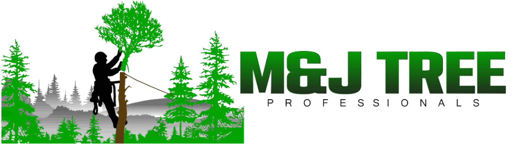 f28c79f7 aed6 47a9 b52d e0be15d0428f (1)